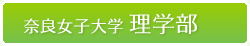 ޗǏqw w