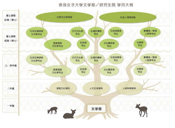 到2021年度人文社会科学科的图表