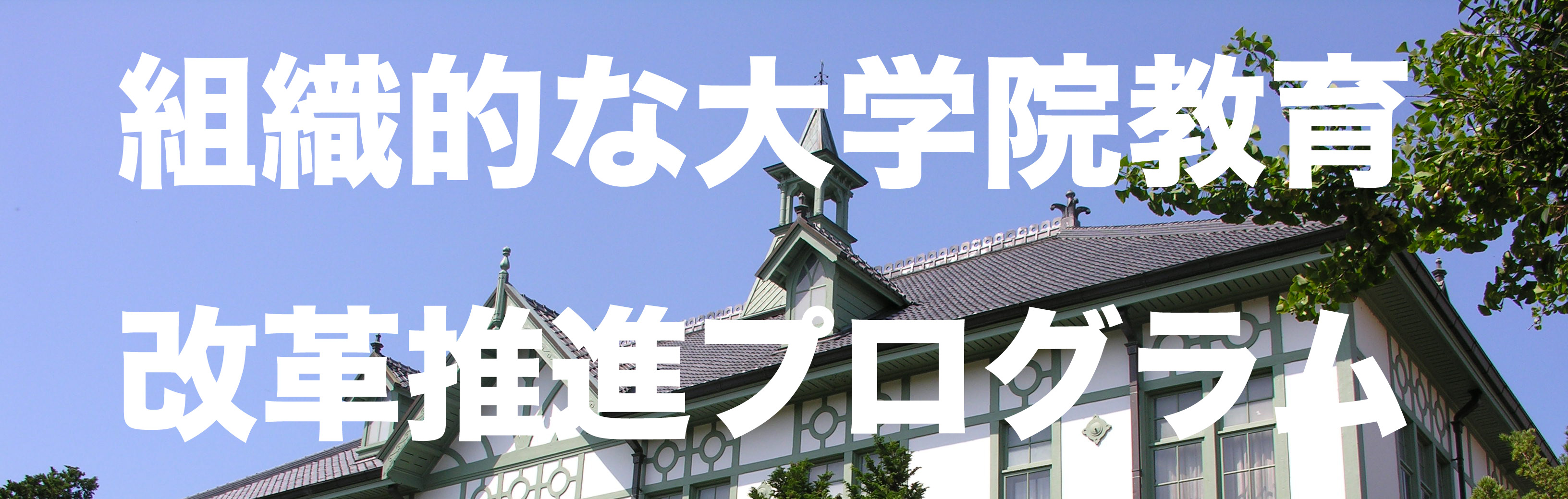 �g�D�I�ȑ�w�@���琄�i�v���O����