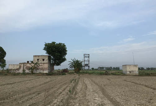 北インド・ソーニーパットの観測サイト（農家）