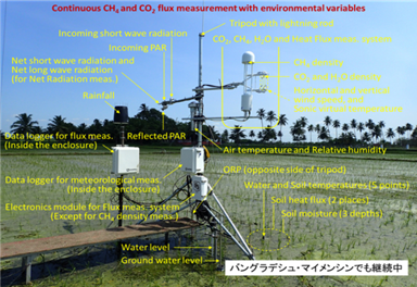 タミルナドゥ稲研究所（TRRI）での調査 試験水田に設置したフラックスタワーと計測機器（2016年6月に測定開始）
