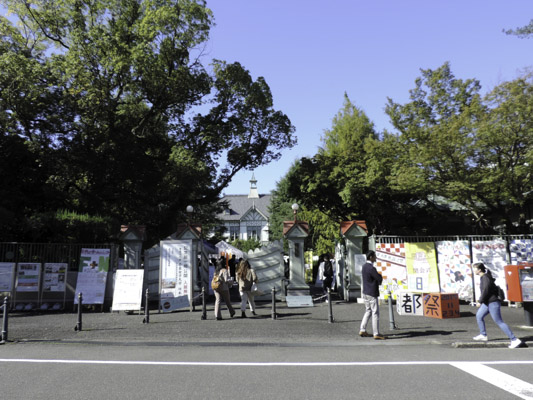 恋都祭の様子