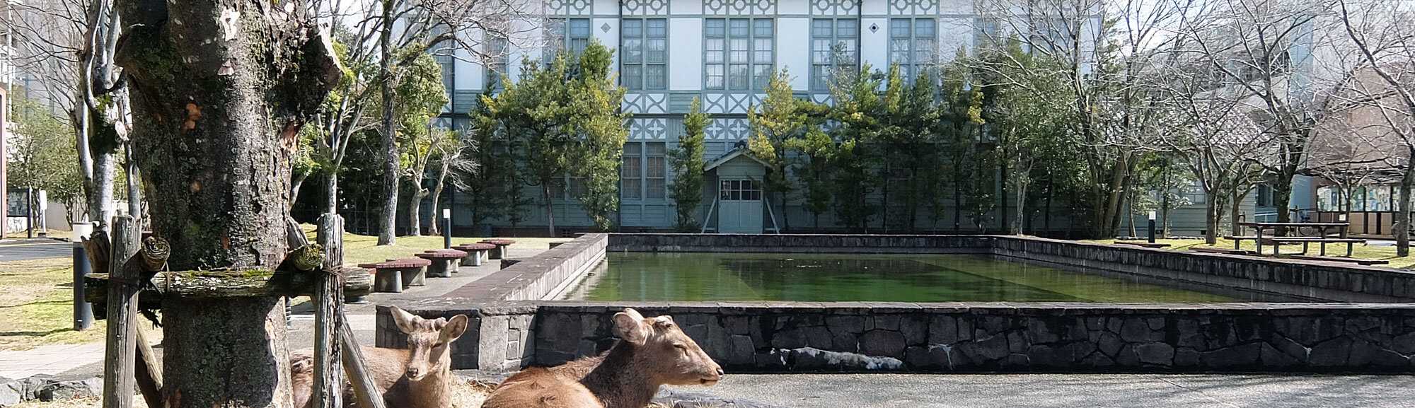 国立大学法人奈良女子大学スポーツ健康科学コース