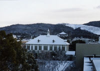 snow012903.jpg