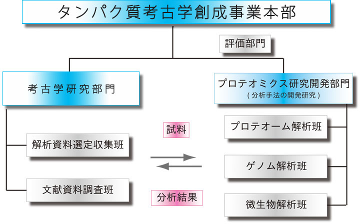 組織図|タンパク質考古学創成事業