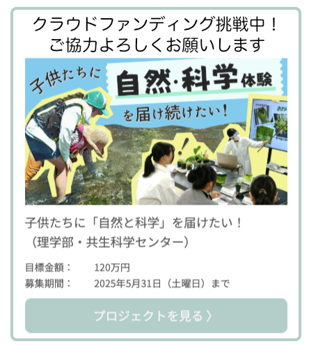 次へ
