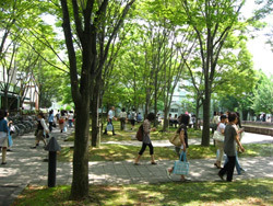 国立大学法人 奈良女子大学 文学部 大学院