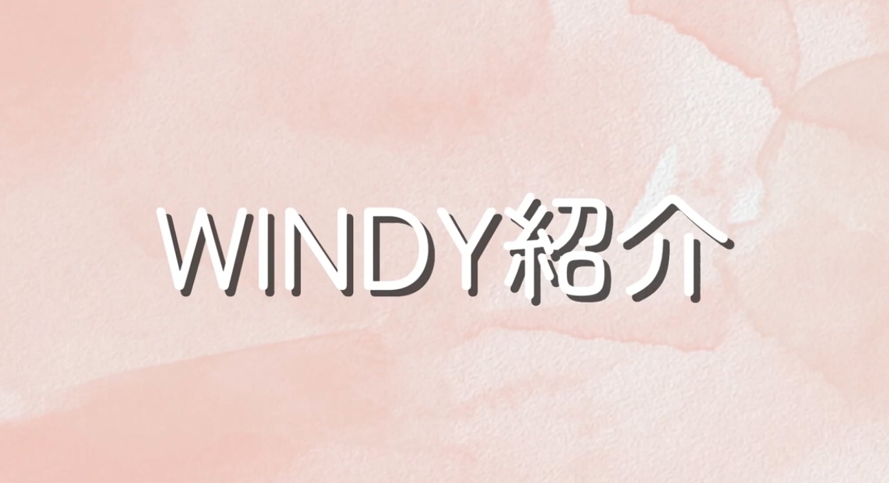 windy07